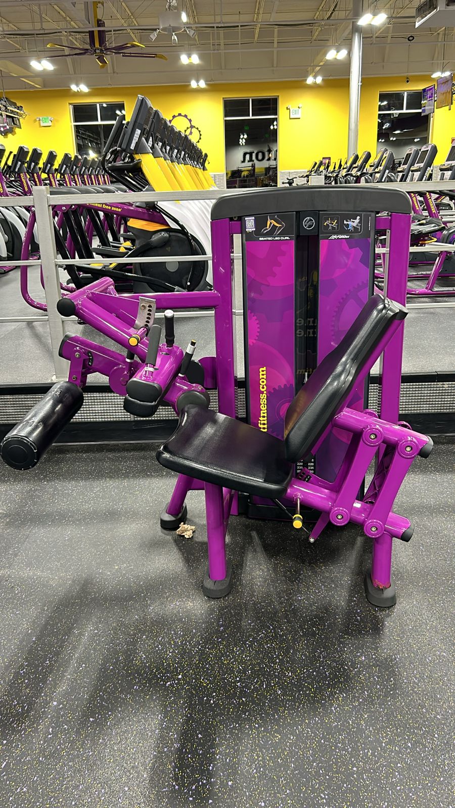 Life Fitness Insignia Series – Premium Strength Equipment Package for Sale