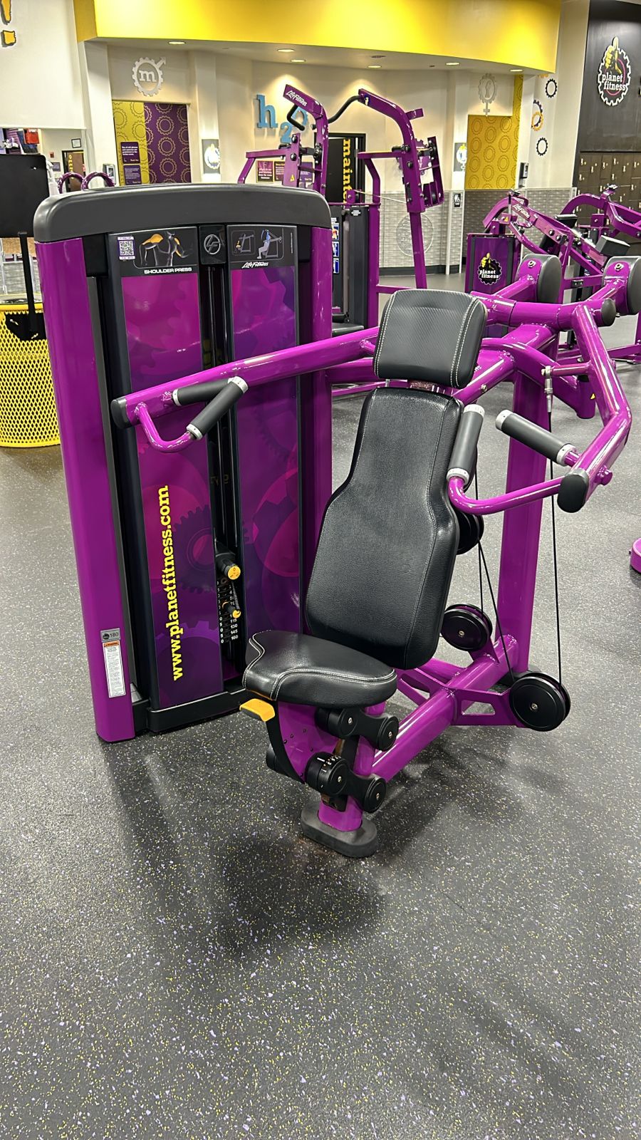 Life Fitness Insignia Series – Premium Strength Equipment Package for Sale