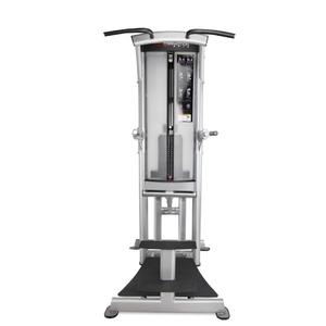 FreeMotion Epic Assisted Dip/Chin
